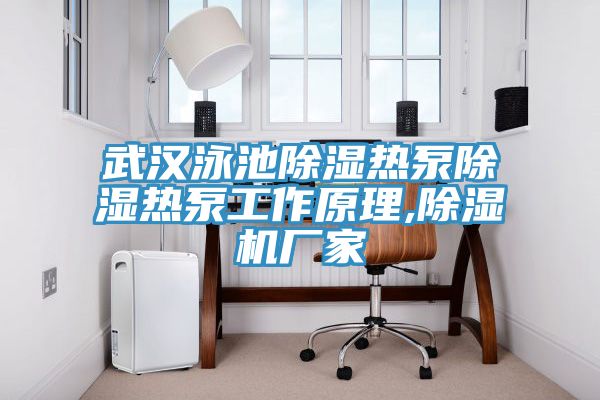 武汉泳池除湿热泵除湿热泵工作原理,免费看操逼软件厂家