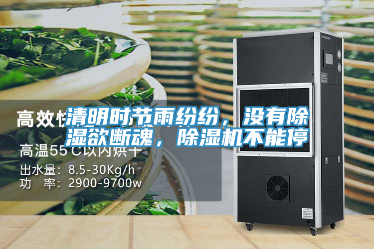清明时节雨纷纷，没有除湿欲断魂，免费看操逼软件不能停