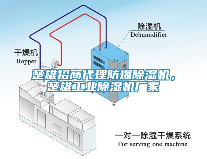 楚雄招商代理防爆免费看操逼软件，楚雄工业免费看操逼软件厂家