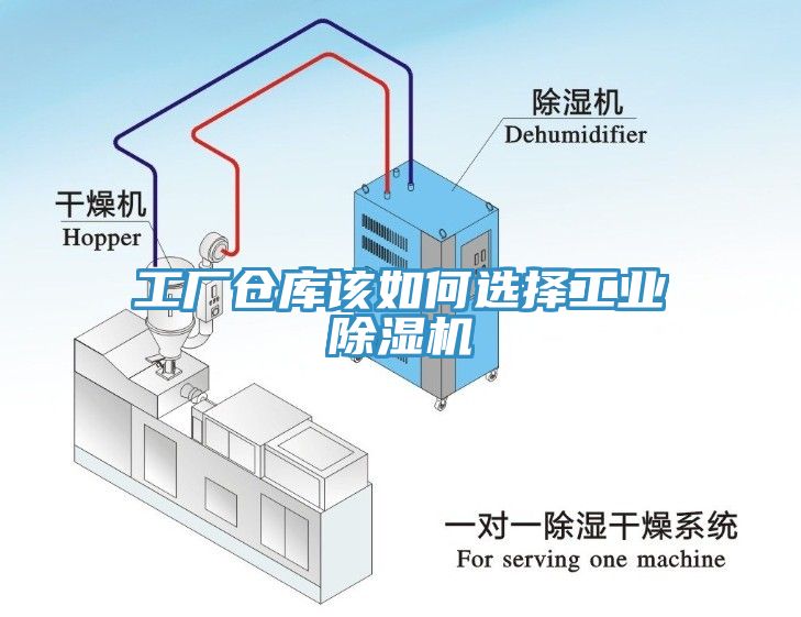 工厂仓库该如何选择工业免费看操逼软件
