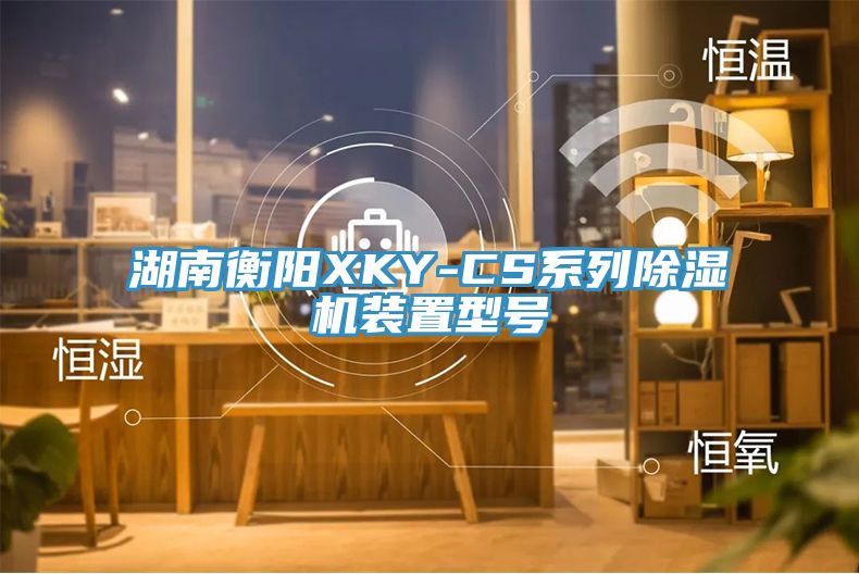 湖南衡阳XKY-CS系列免费看操逼软件装置型号