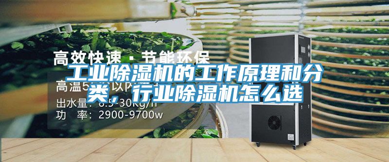 工业免费看操逼软件的工作原理和分类，行业免费看操逼软件怎么选