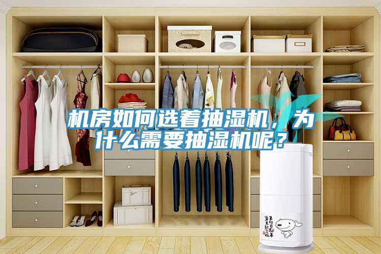 机房如何选着抽湿机，为什么需要抽湿机呢？