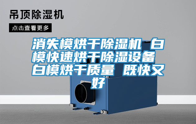 消失模烘干免费看操逼软件 白模快速烘干除湿设备 白模烘干质量 既快又好