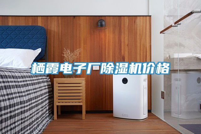 栖霞电子厂免费看操逼软件价格