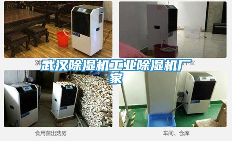 武汉免费看操逼软件工业免费看操逼软件厂家