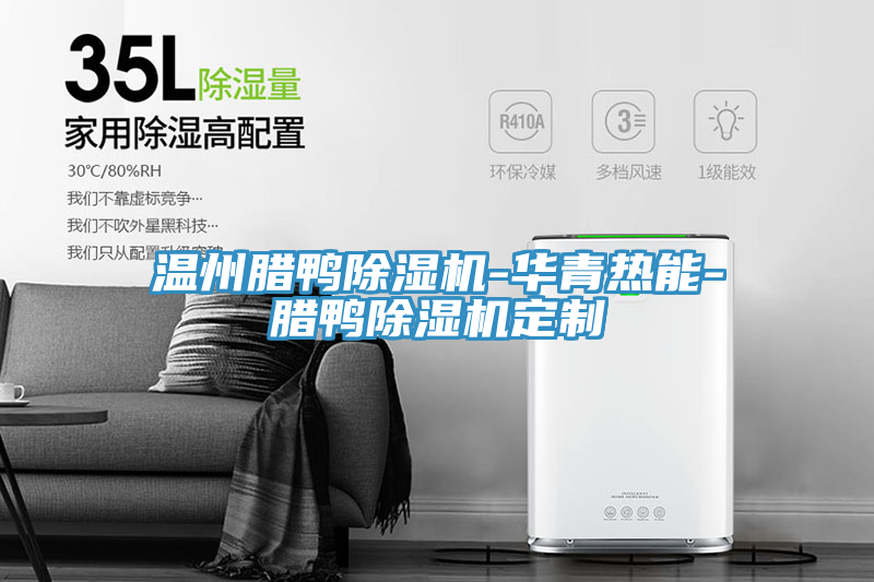 温州腊鸭免费看操逼软件-华青热能-腊鸭免费看操逼软件定制