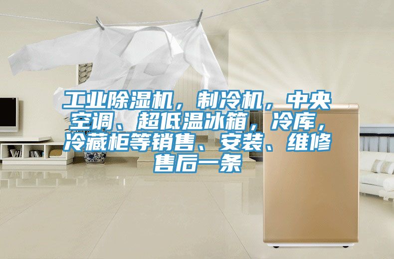 工业免费看操逼软件，制冷机，中央空调、超低温冰箱，冷库，冷藏柜等销售、安装、维修售后一条