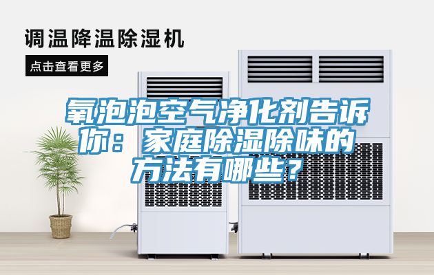 氧泡泡空气净化剂告诉你：家庭除湿除味的方法有哪些？