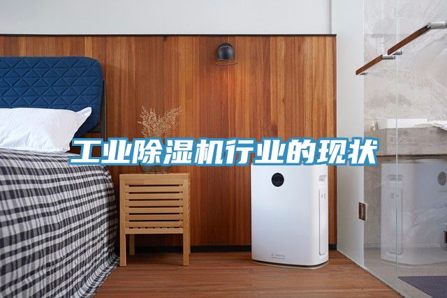 工业免费看操逼软件行业的现状