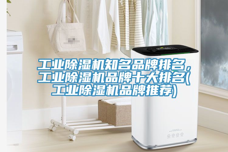 工业免费看操逼软件知名品牌排名，工业免费看操逼软件品牌十大排名(工业免费看操逼软件品牌推荐)