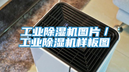 工业免费看操逼软件图片／工业免费看操逼软件样板图