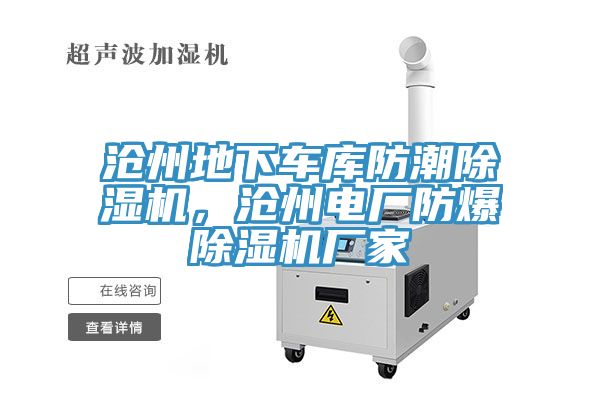 沧州地下车库防潮免费看操逼软件，沧州电厂防爆免费看操逼软件厂家