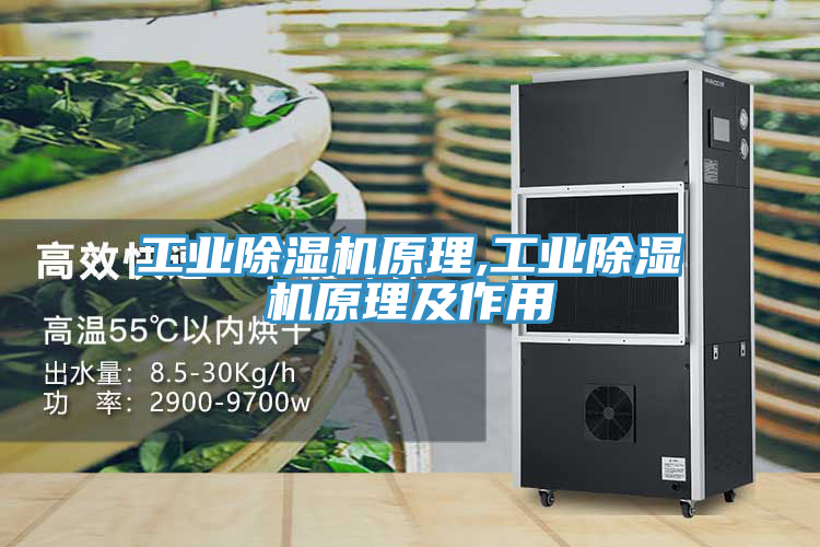 工业免费看操逼软件原理,工业免费看操逼软件原理及作用