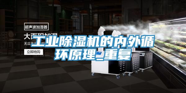 工业免费看操逼软件的内外循环原理_重复