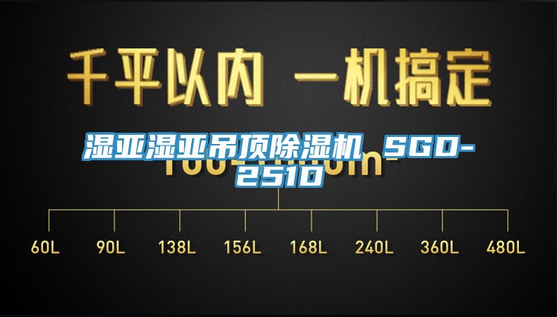 湿亚湿亚吊顶免费看操逼软件 SGD-251D