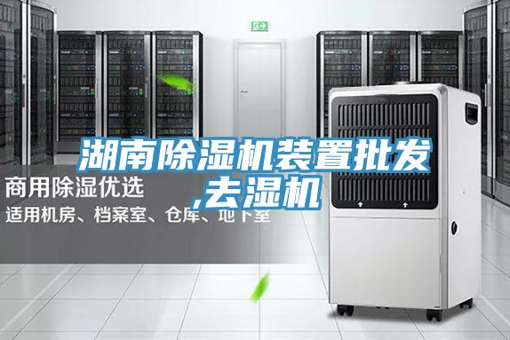 湖南免费看操逼软件装置批发,去湿机
