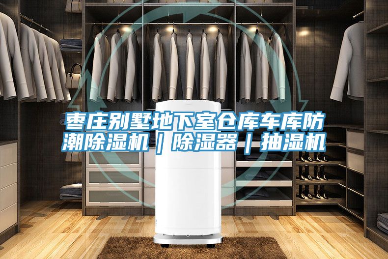 枣庄别墅地下室仓库车库防潮免费看操逼软件｜除湿器｜抽湿机