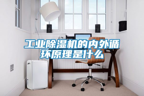 工业免费看操逼软件的内外循环原理是什么