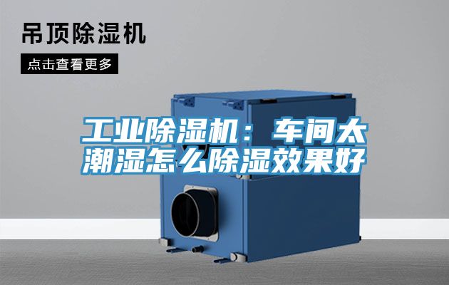 工业免费看操逼软件：车间太潮湿怎么除湿效果好