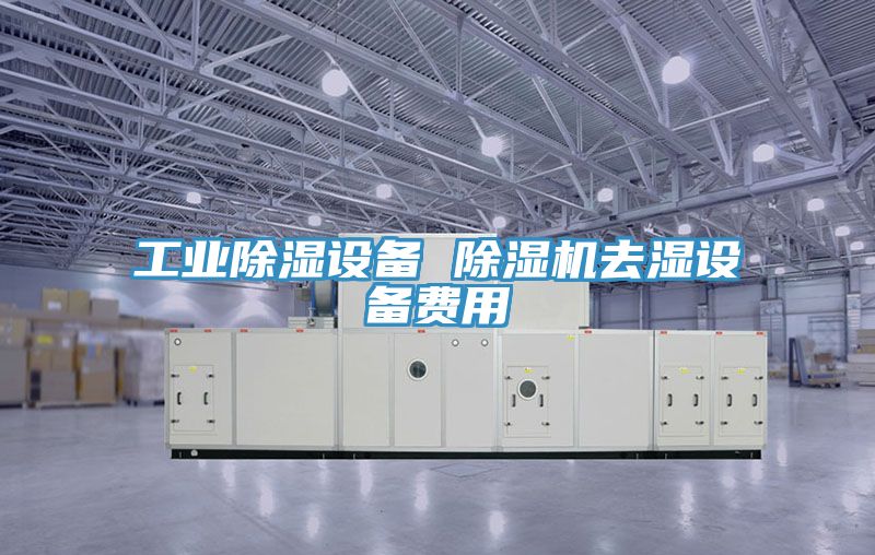 工业除湿设备 免费看操逼软件去湿设备费用