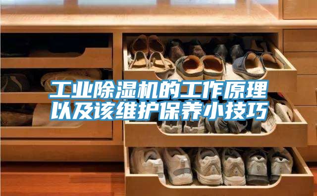 工业免费看操逼软件的工作原理以及该维护保养小技巧