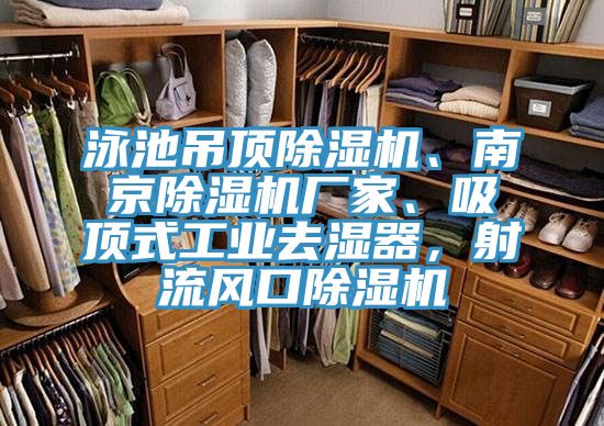 泳池吊顶免费看操逼软件、南京免费看操逼软件厂家、吸顶式工业去湿器，射流风口免费看操逼软件