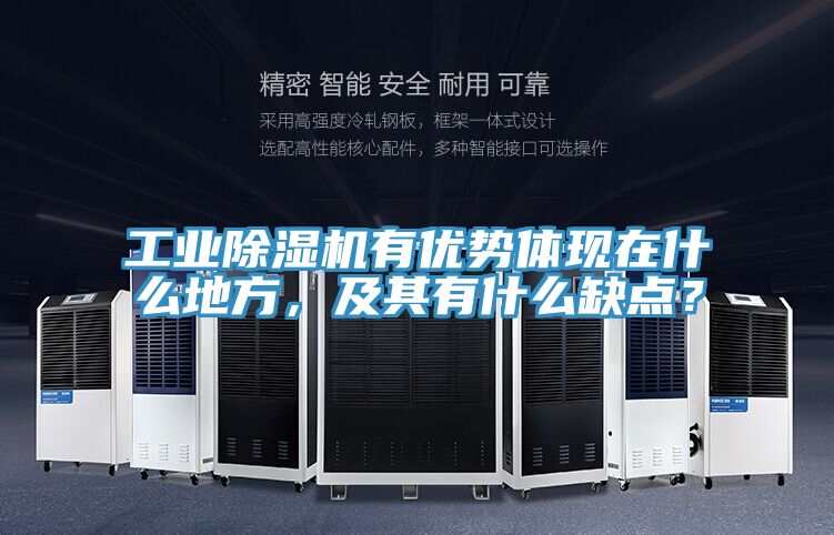 工业免费看操逼软件有优势体现在什么地方，及其有什么缺点？