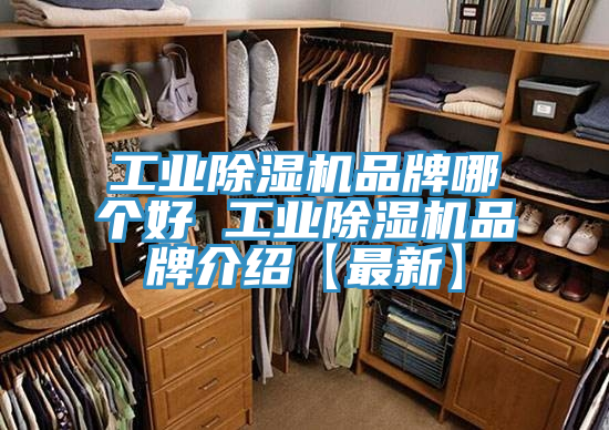 工业免费看操逼软件品牌哪个好 工业免费看操逼软件品牌介绍【最新】