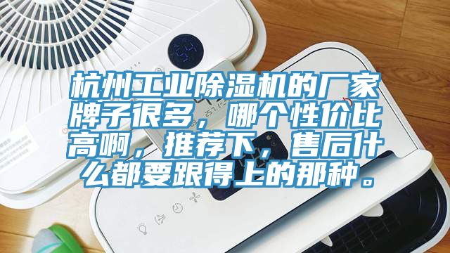杭州工业免费看操逼软件的厂家牌子很多，哪个性价比高啊，推荐下，售后什么都要跟得上的那种。