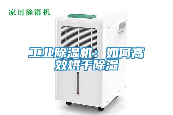 工业免费看操逼软件：如何高效烘干除湿