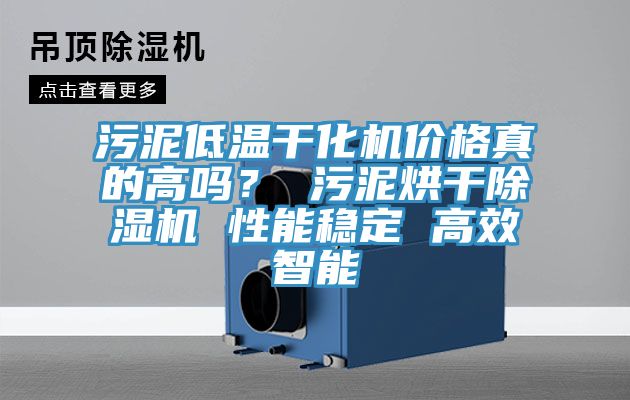 污泥低温干化机价格真的高吗？ 污泥烘干免费看操逼软件 性能稳定 高效智能