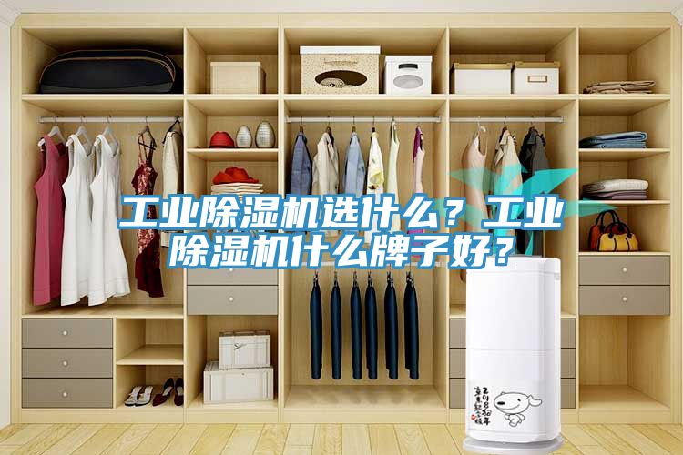 工业免费看操逼软件选什么？工业免费看操逼软件什么牌子好？