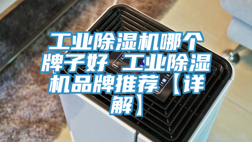 工业免费看操逼软件哪个牌子好 工业免费看操逼软件品牌推荐【详解】