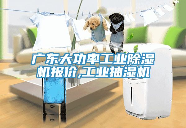 广东大功率工业免费看操逼软件报价,工业抽湿机