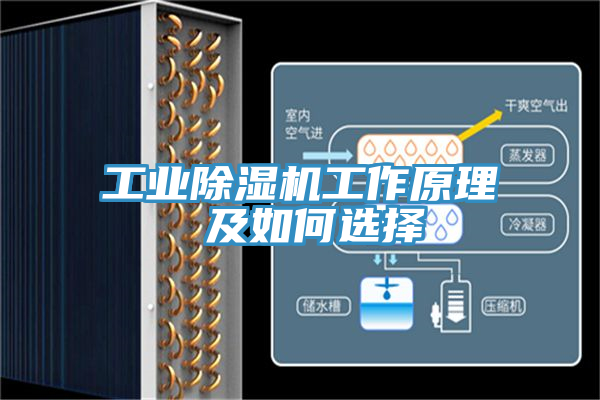 工业免费看操逼软件工作原理 及如何选择