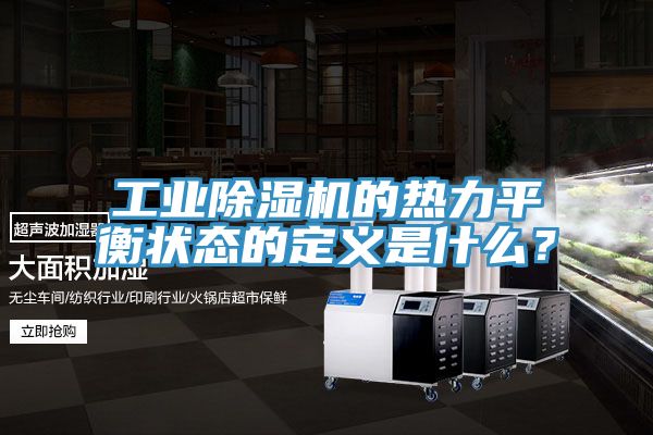 工业免费看操逼软件的热力平衡状态的定义是什么？