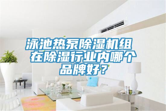 泳池热泵免费看操逼软件组 在除湿行业内哪个品牌好？