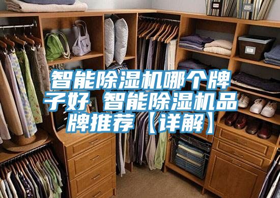 智能免费看操逼软件哪个牌子好 智能免费看操逼软件品牌推荐【详解】