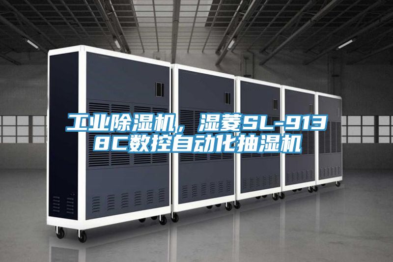 工业免费看操逼软件，湿菱SL-9138C数控自动化抽湿机