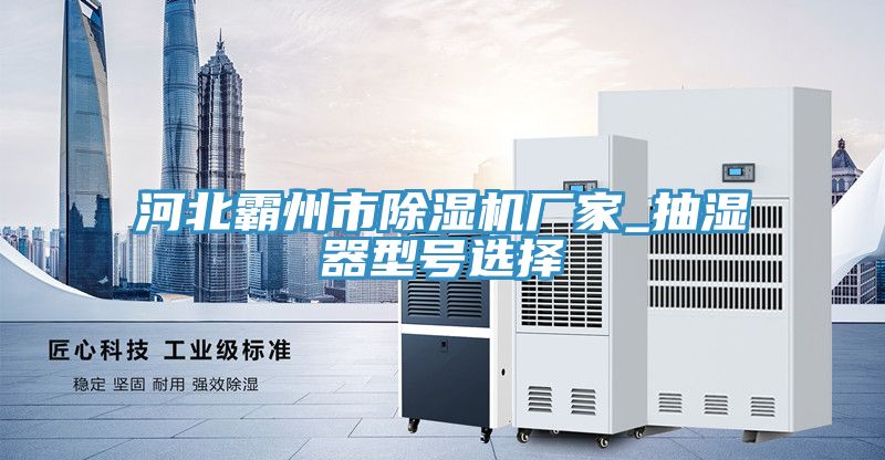 河北霸州市免费看操逼软件厂家_抽湿器型号选择