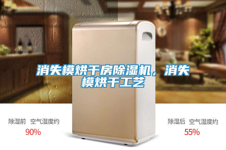消失模烘干房免费看操逼软件，消失模烘干工艺