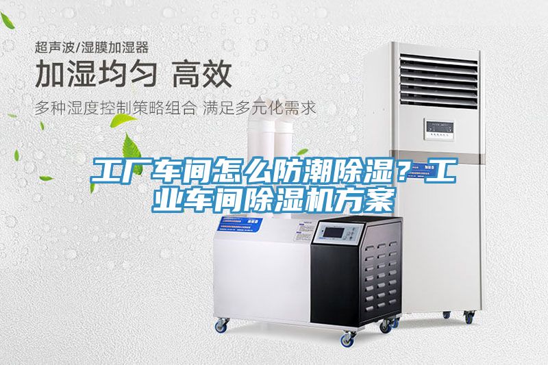 工厂车间怎么防潮除湿？工业车间免费看操逼软件方案
