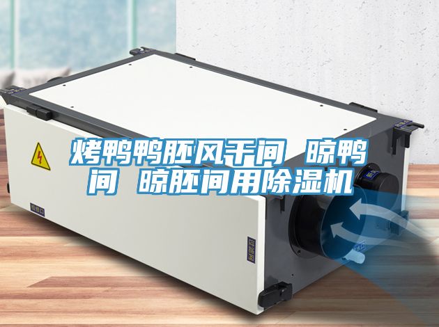 烤鸭鸭胚风干间 晾鸭间 晾胚间用免费看操逼软件