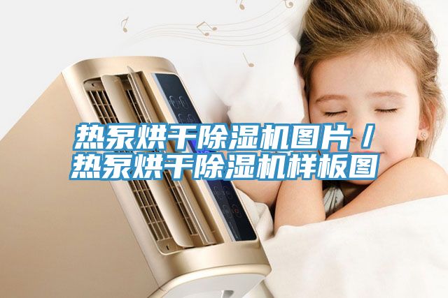 热泵烘干免费看操逼软件图片／热泵烘干免费看操逼软件样板图
