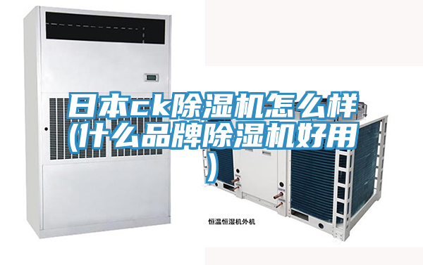 日本ck免费看操逼软件怎么样(什么品牌免费看操逼软件好用)