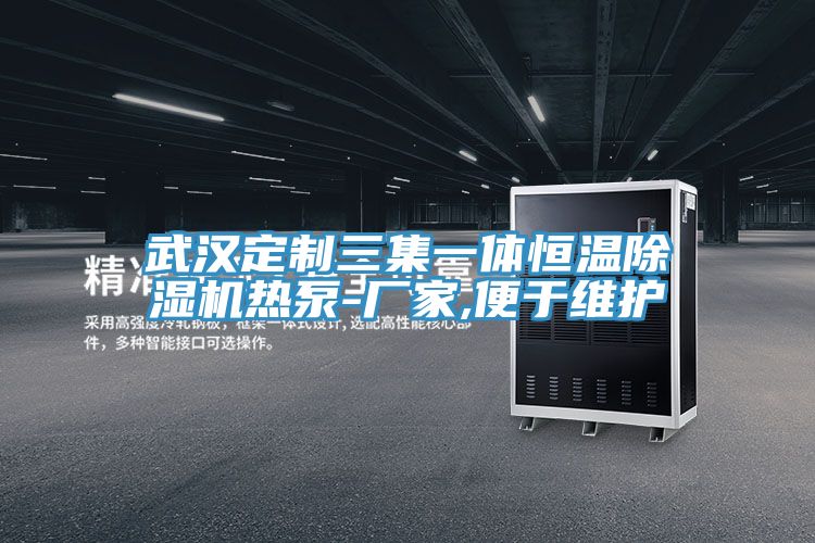 武汉定制三集一体恒温免费看操逼软件热泵-厂家,便于维护