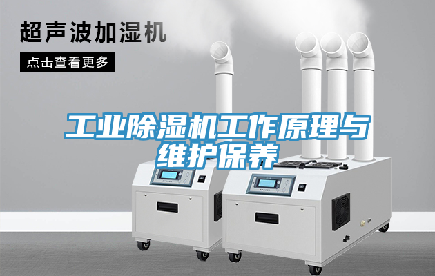 工业免费看操逼软件工作原理与维护保养