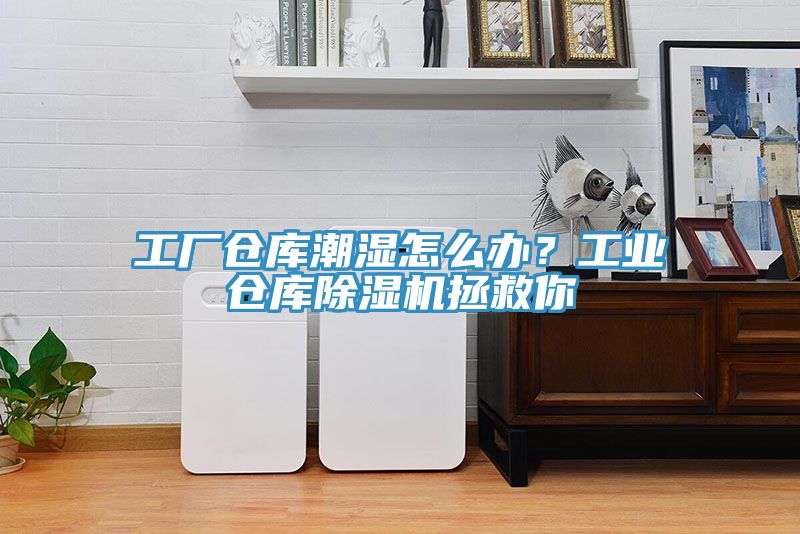 工厂仓库潮湿怎么办？工业仓库免费看操逼软件拯救你