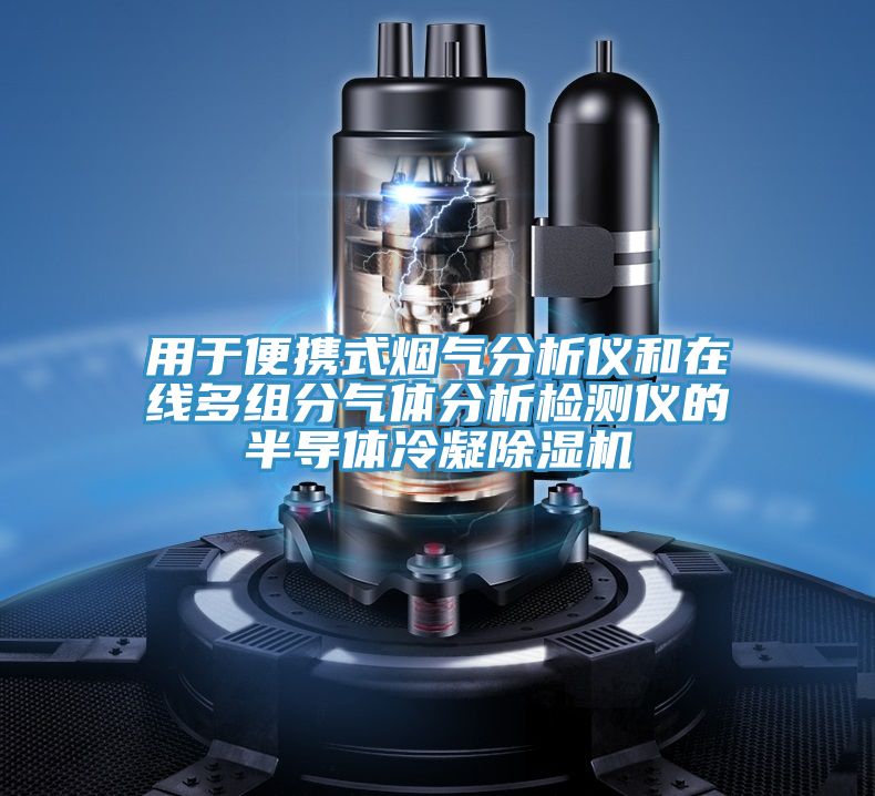 用于便携式烟气分析仪和在线多组分气体分析检测仪的半导体冷凝免费看操逼软件